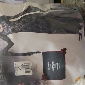 Dark mistress adult costumr